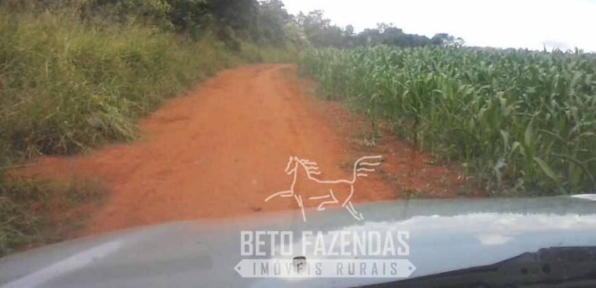 A Melhor Fazenda da Região 9.000 Hectares Agricultura e Pecuária | São João d’Aliança/ GO