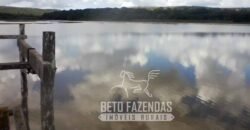 A Melhor Fazenda da Região 9.000 Hectares Agricultura e Pecuária | São João d’Aliança/ GO