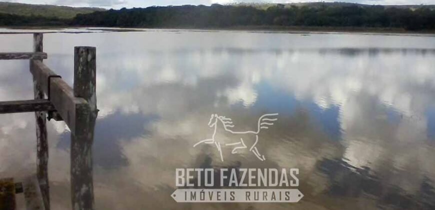 A Melhor Fazenda da Região 9.000 Hectares Agricultura e Pecuária | São João d’Aliança/ GO