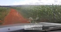 A Melhor Fazenda da Região 9.000 Hectares Agricultura e Pecuária | São João d’Aliança/ GO