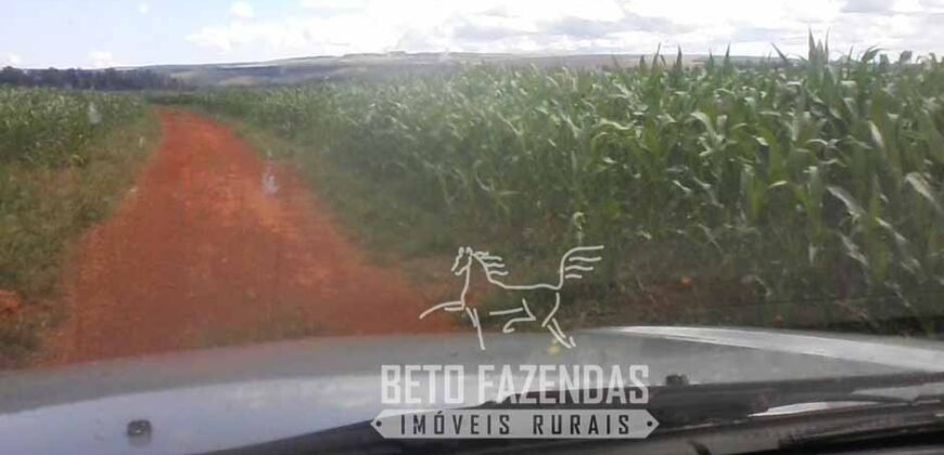 A Melhor Fazenda da Região 9.000 Hectares Agricultura e Pecuária | São João d’Aliança/ GO