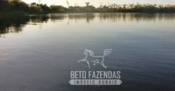 A Melhor Fazenda da Região 9.000 Hectares Agricultura e Pecuária | São João d’Aliança/ GO