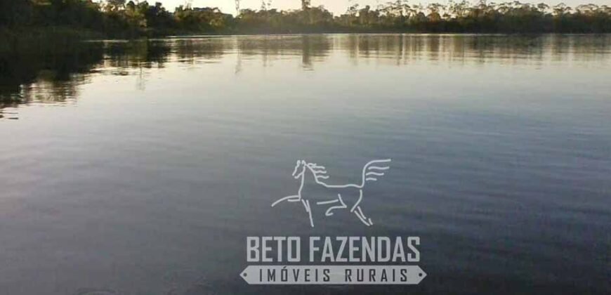 A Melhor Fazenda da Região 9.000 Hectares Agricultura e Pecuária | São João d’Aliança/ GO