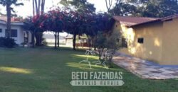 A Melhor Fazenda da Região 9.000 Hectares Agricultura e Pecuária | São João d’Aliança/ GO