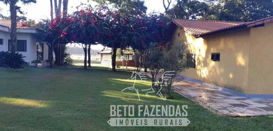 A Melhor Fazenda da Região 9.000 Hectares Agricultura e Pecuária | São João d’Aliança/ GO