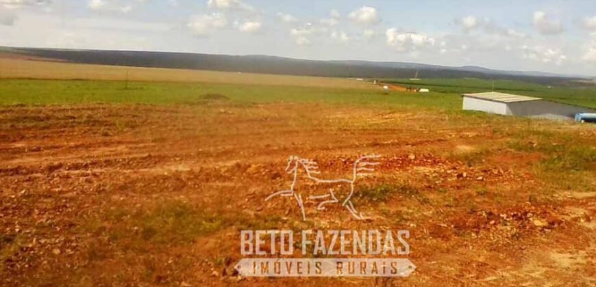 A Melhor Fazenda da Região 9.000 Hectares Agricultura e Pecuária | São João d’Aliança/ GO