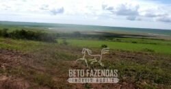 A Melhor Fazenda da Região 9.000 Hectares Agricultura e Pecuária | São João d’Aliança/ GO