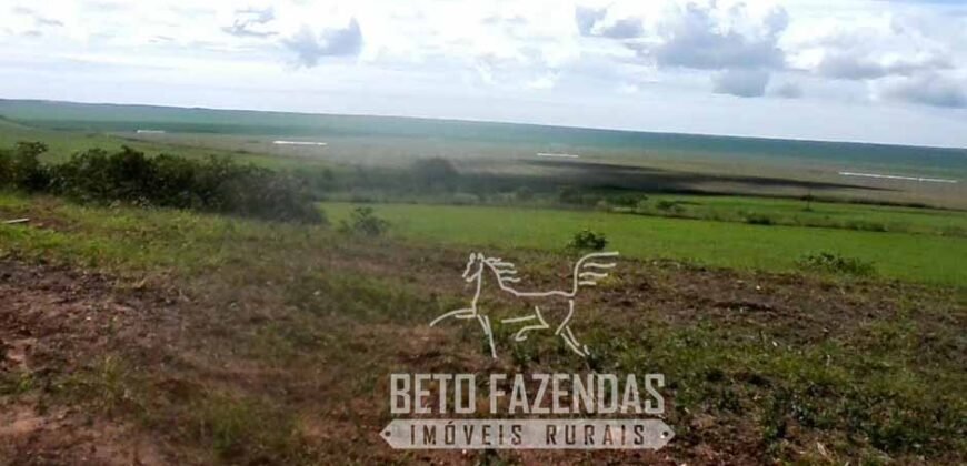 A Melhor Fazenda da Região 9.000 Hectares Agricultura e Pecuária | São João d’Aliança/ GO