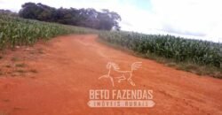A Melhor Fazenda da Região 9.000 Hectares Agricultura e Pecuária | São João d’Aliança/ GO