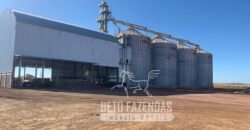 A Melhor Fazenda da Região 9.000 Hectares Agricultura e Pecuária | São João d’Aliança/ GO