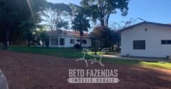 A Melhor Fazenda da Região 9.000 Hectares Agricultura e Pecuária | São João d’Aliança/ GO