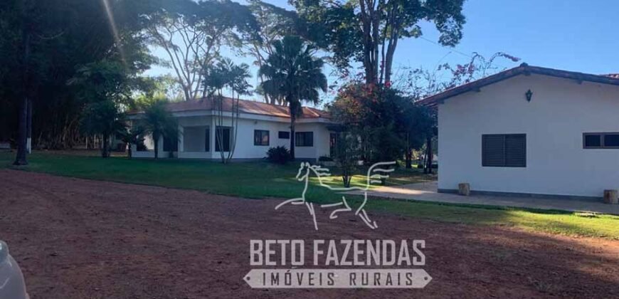 A Melhor Fazenda da Região 9.000 Hectares Agricultura e Pecuária | São João d’Aliança/ GO