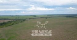 Extraordinária Fazenda à Venda 39.000 Has Investimento no Agronegócio | Confresa-MT