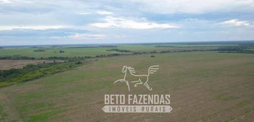 Extraordinária Fazenda à Venda 39.000 Has Investimento no Agronegócio | Confresa-MT