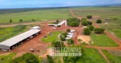 Extraordinária Fazenda à Venda 39.000 Has Investimento no Agronegócio | Confresa-MT
