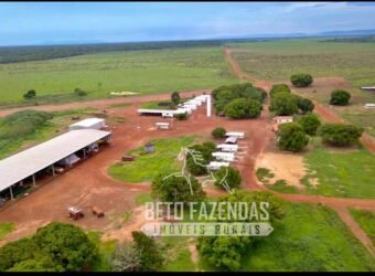 Extraordinária Fazenda à Venda 39.000 Has Investimento no Agronegócio | Confresa-MT Extraordinária Fazenda à Venda 39.000 Has Investimento no Agronegócio | Confresa-MT