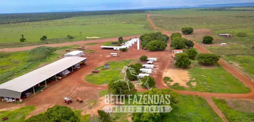 Extraordinária Fazenda à Venda 39.000 Has Investimento no Agronegócio | Confresa-MT