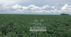 Extraordinária Fazenda à Venda 39.000 Has Investimento no Agronegócio | Confresa-MT