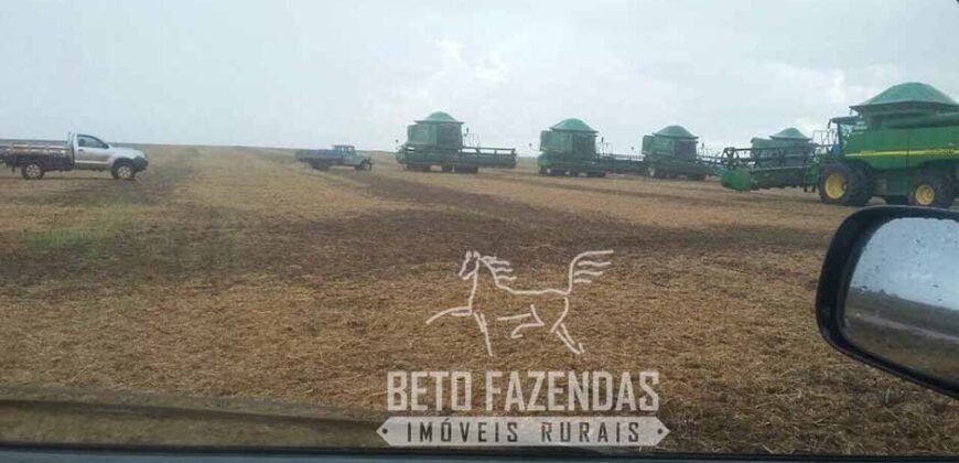 Extraordinária Fazenda à Venda 39.000 Has Investimento no Agronegócio | Confresa-MT