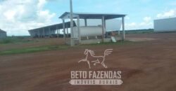 Extraordinária Fazenda à Venda 39.000 Has Investimento no Agronegócio | Confresa-MT