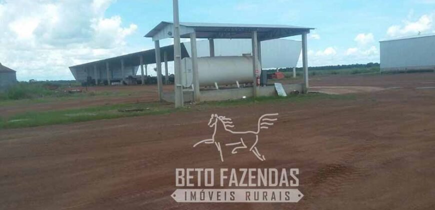 Extraordinária Fazenda à Venda 39.000 Has Investimento no Agronegócio | Confresa-MT