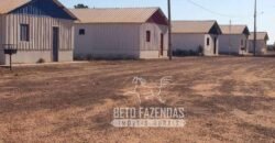 Extraordinária Fazenda à Venda 39.000 Has Investimento no Agronegócio | Confresa-MT