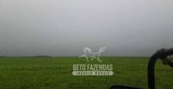 Extraordinária Fazenda à Venda 39.000 Has Investimento no Agronegócio | Confresa-MT