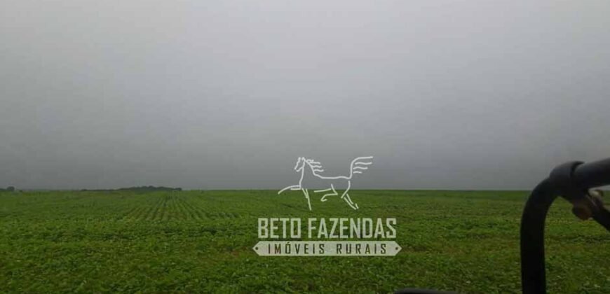 Extraordinária Fazenda à Venda 39.000 Has Investimento no Agronegócio | Confresa-MT