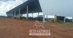 Extraordinária Fazenda à Venda 39.000 Has Investimento no Agronegócio | Confresa-MT