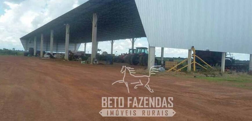 Extraordinária Fazenda à Venda 39.000 Has Investimento no Agronegócio | Confresa-MT