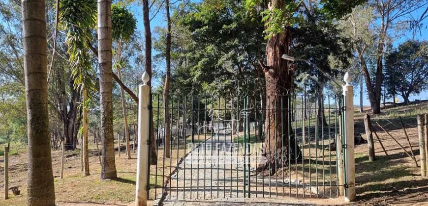 Fazenda à Venda 944 Has Café, Pecuária e Áreas de Preservação Permanente | Bom Sucesso | MG