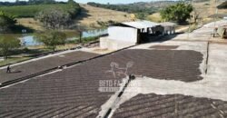 Fazenda à Venda 944 Has Café, Pecuária e Áreas de Preservação Permanente | Bom Sucesso | MG