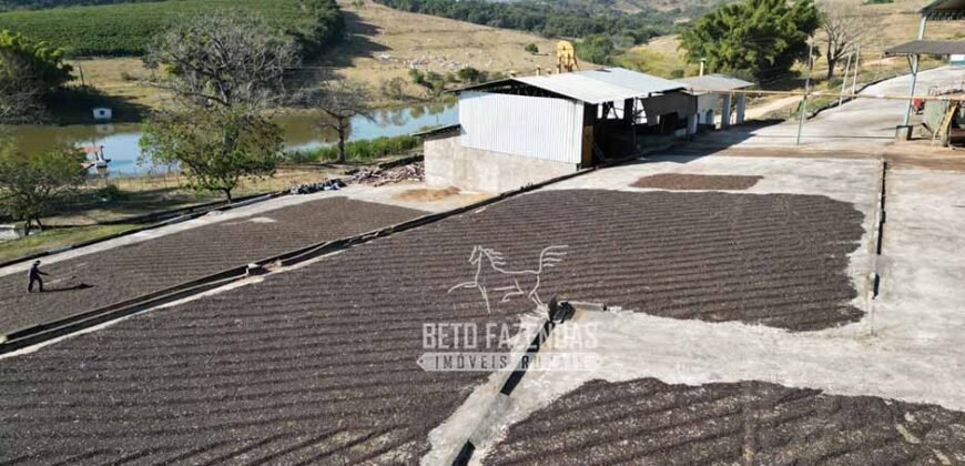 Fazenda à Venda 944 Has Café, Pecuária e Áreas de Preservação Permanente | Bom Sucesso | MG