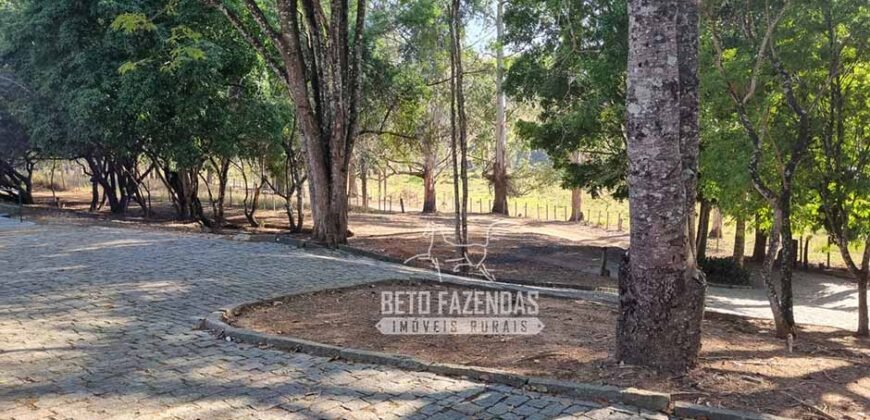 Fazenda à Venda 944 Has Café, Pecuária e Áreas de Preservação Permanente | Bom Sucesso | MG