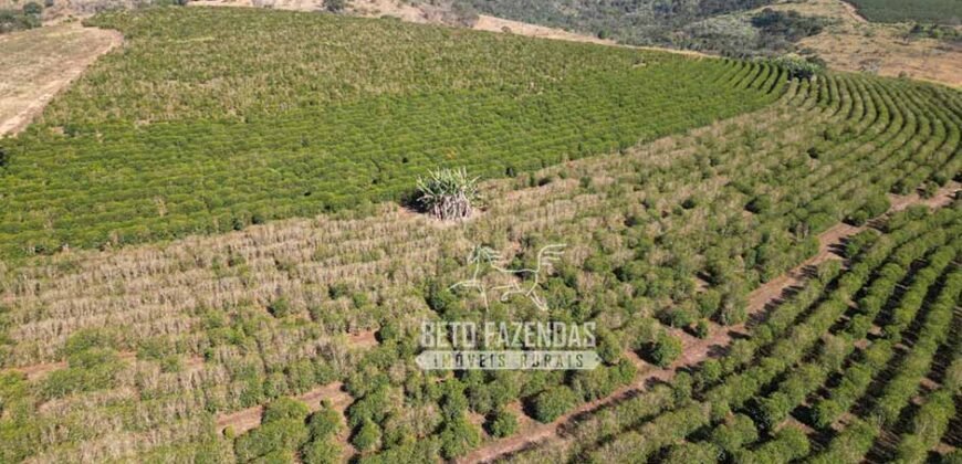 Fazenda à Venda 944 Has Café, Pecuária e Áreas de Preservação Permanente | Bom Sucesso | MG