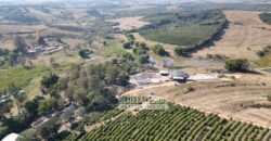 Fazenda à Venda 944 Has Café, Pecuária e Áreas de Preservação Permanente | Bom Sucesso | MG