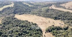 Fazenda à Venda 944 Has Café, Pecuária e Áreas de Preservação Permanente | Bom Sucesso | MG