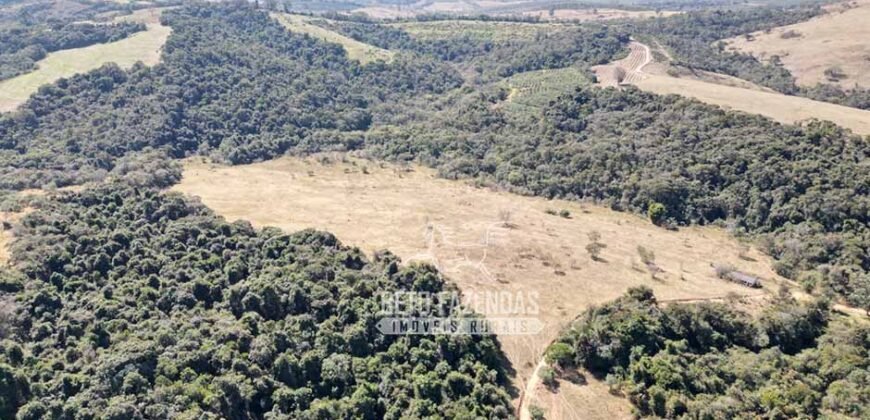 Fazenda à Venda 944 Has Café, Pecuária e Áreas de Preservação Permanente | Bom Sucesso | MG
