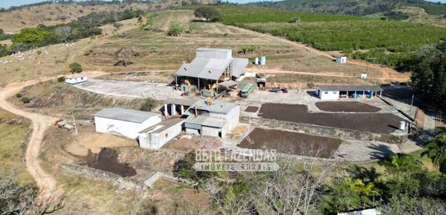 Fazenda à Venda 944 Has Café, Pecuária e Áreas de Preservação Permanente | Bom Sucesso | MG