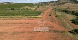 Fazenda à Venda 944 Has Café, Pecuária e Áreas de Preservação Permanente | Bom Sucesso | MG