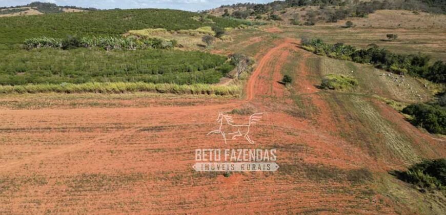 Fazenda à Venda 944 Has Café, Pecuária e Áreas de Preservação Permanente | Bom Sucesso | MG