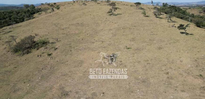 Fazenda à Venda 944 Has Café, Pecuária e Áreas de Preservação Permanente | Bom Sucesso | MG