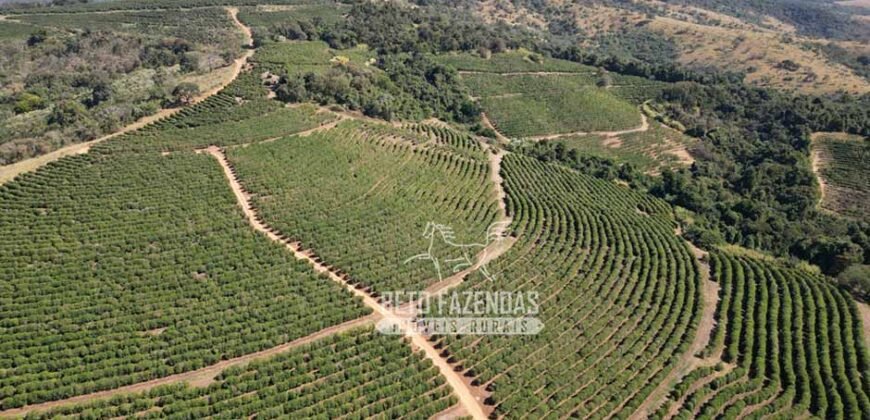 Fazenda à Venda 944 Has Café, Pecuária e Áreas de Preservação Permanente | Bom Sucesso | MG