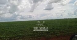 Fazenda à Venda 15.000 Hectares Alta Produtividade e Excelente Logística | Itiquira/ MT