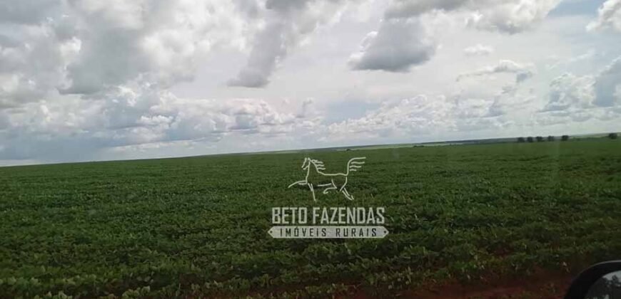 Fazenda à Venda 15.000 Hectares Alta Produtividade e Excelente Logística | Itiquira/ MT