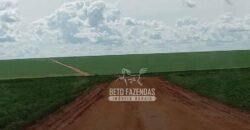 Fazenda à Venda 15.000 Hectares Alta Produtividade e Excelente Logística | Itiquira/ MT