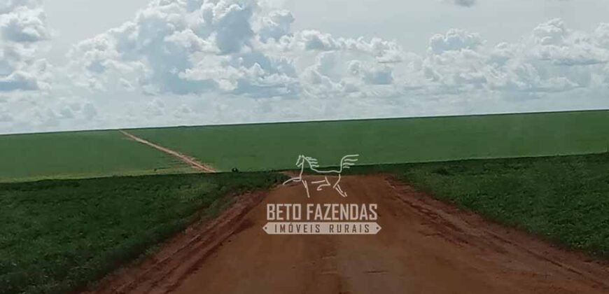 Fazenda à Venda 15.000 Hectares Alta Produtividade e Excelente Logística | Itiquira/ MT