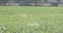 Fazenda à Venda 15.000 Hectares Alta Produtividade e Excelente Logística | Itiquira/ MT