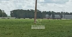 Fazenda à Venda 15.000 Hectares Alta Produtividade e Excelente Logística | Itiquira/ MT