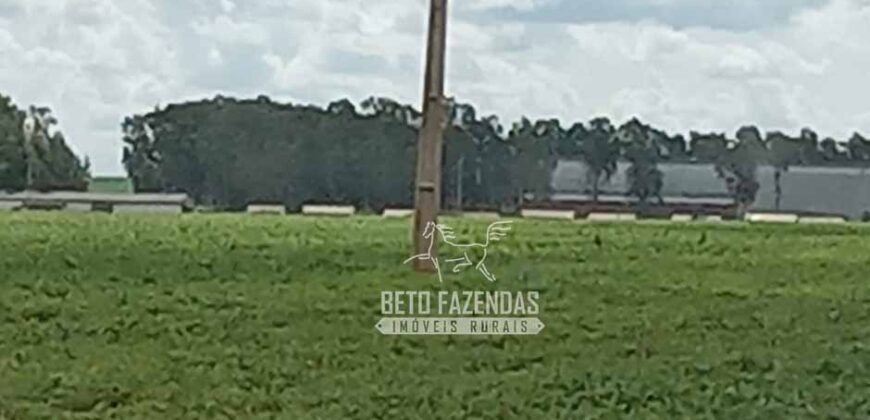 Fazenda à Venda 15.000 Hectares Alta Produtividade e Excelente Logística | Itiquira/ MT